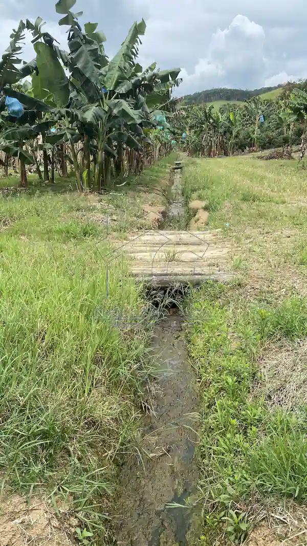 Finca La Esperanza